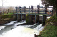 river level regulation